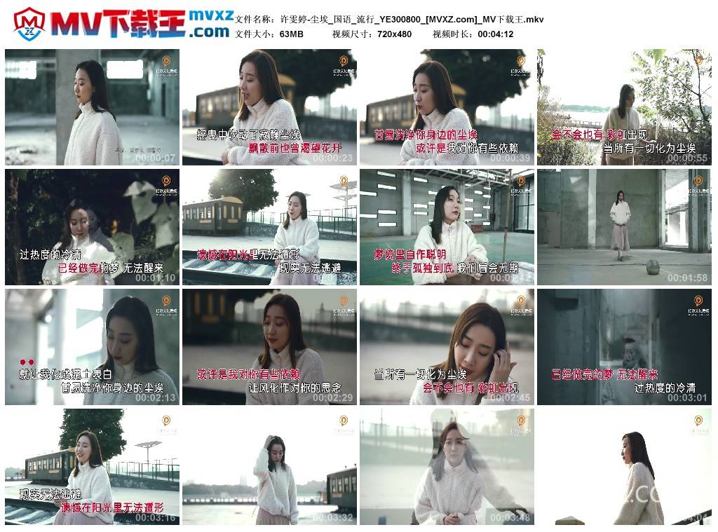 许雯婷-尘埃_国语_流行_YE300800